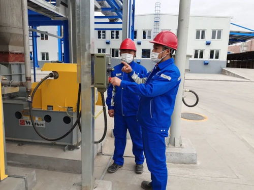 打造特色产品 中国石油又一转型升级项目建成 赋能石油制品制造新篇章